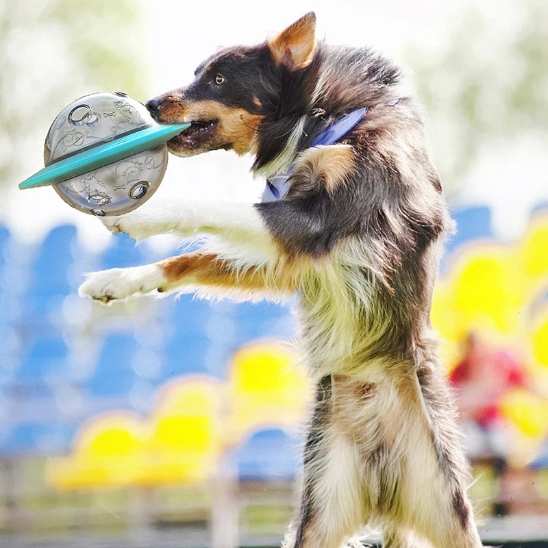 3-in-1 Dog Flying Disc & Slow Feeder Toy — Food Dispensing, Anti-Bite, Blue or Yellow