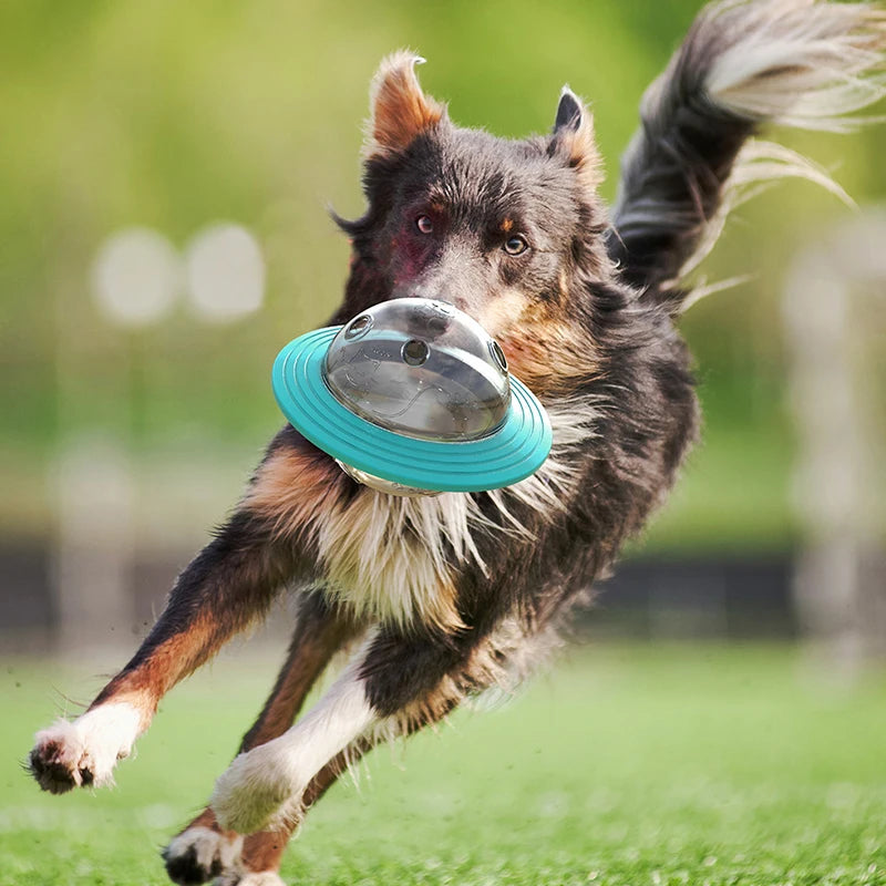 3-in-1 Dog Flying Disc & Slow Feeder Toy — Food Dispensing, Anti-Bite, Blue or Yellow