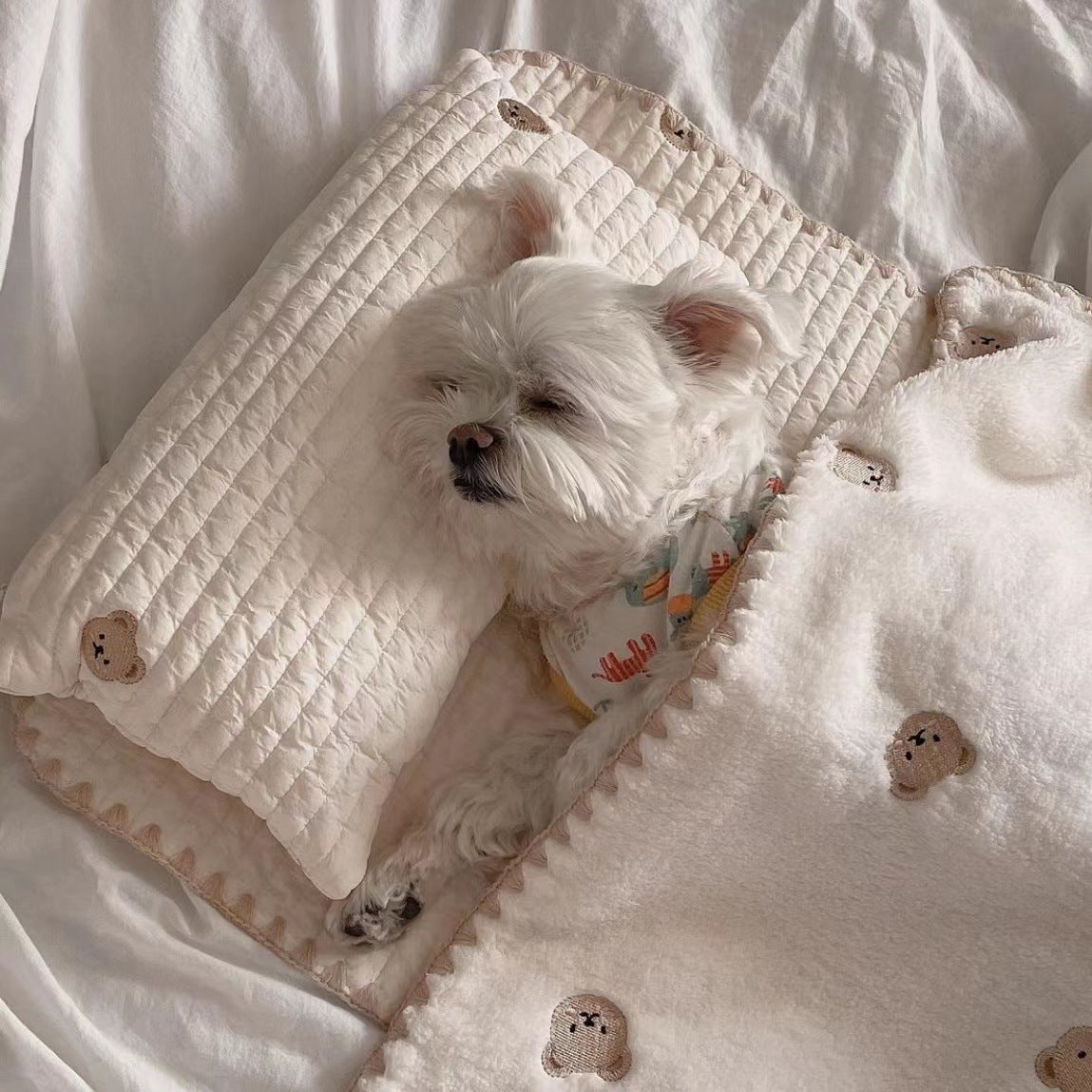 Pet Dog Bed 3-Piece Set — Pillow, Mat & Blanket, Washable Cover, Bear Design, Sizes S & M