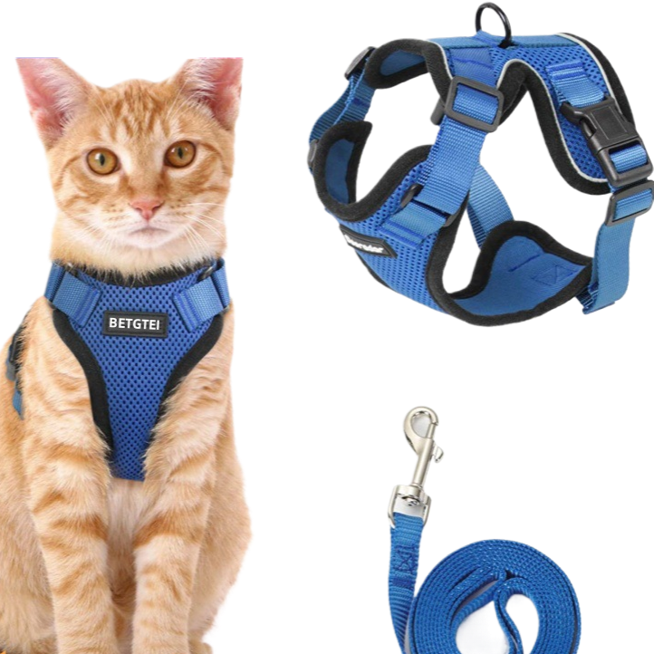 Adjustable Reflective Pet Vest Harness & Leash — Anti-Escape, Breathable, Sizes XS–M, 7 Colors