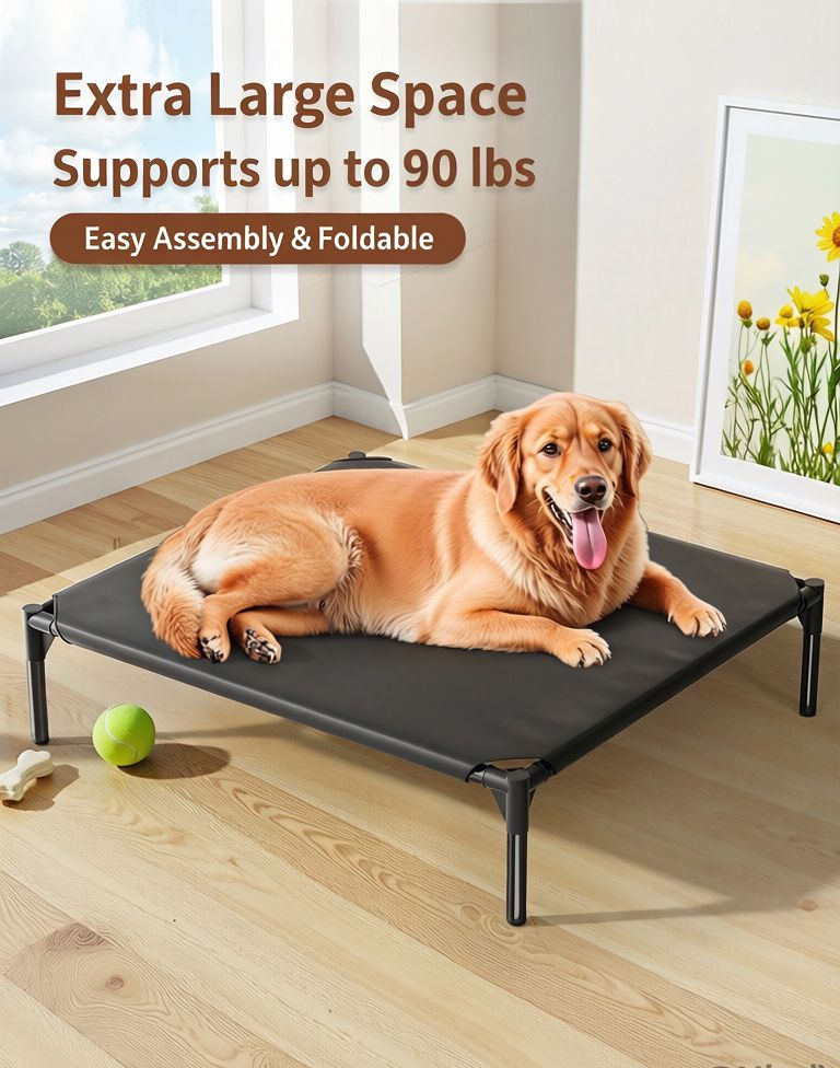 518849281