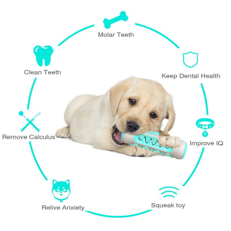 511211561