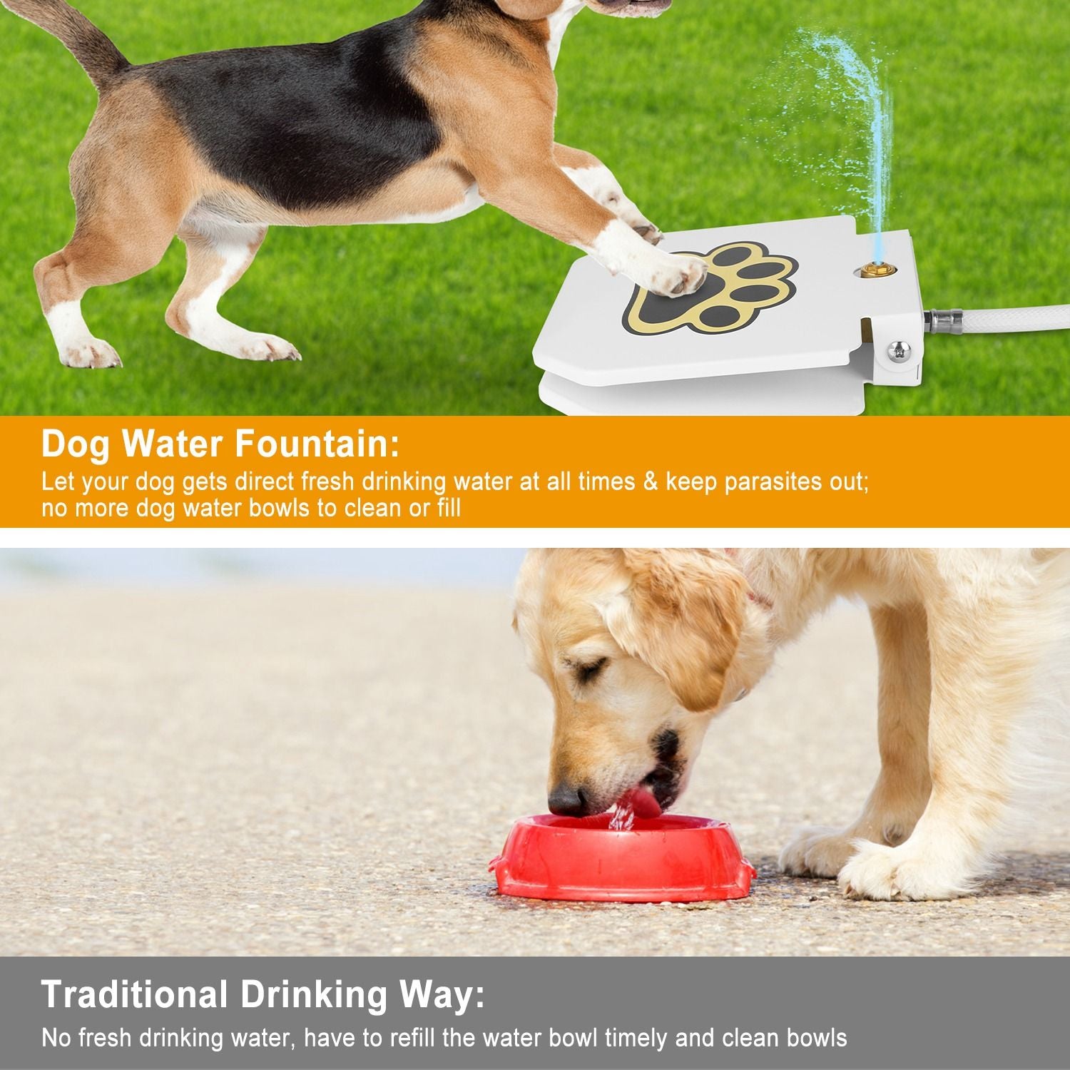 511212181