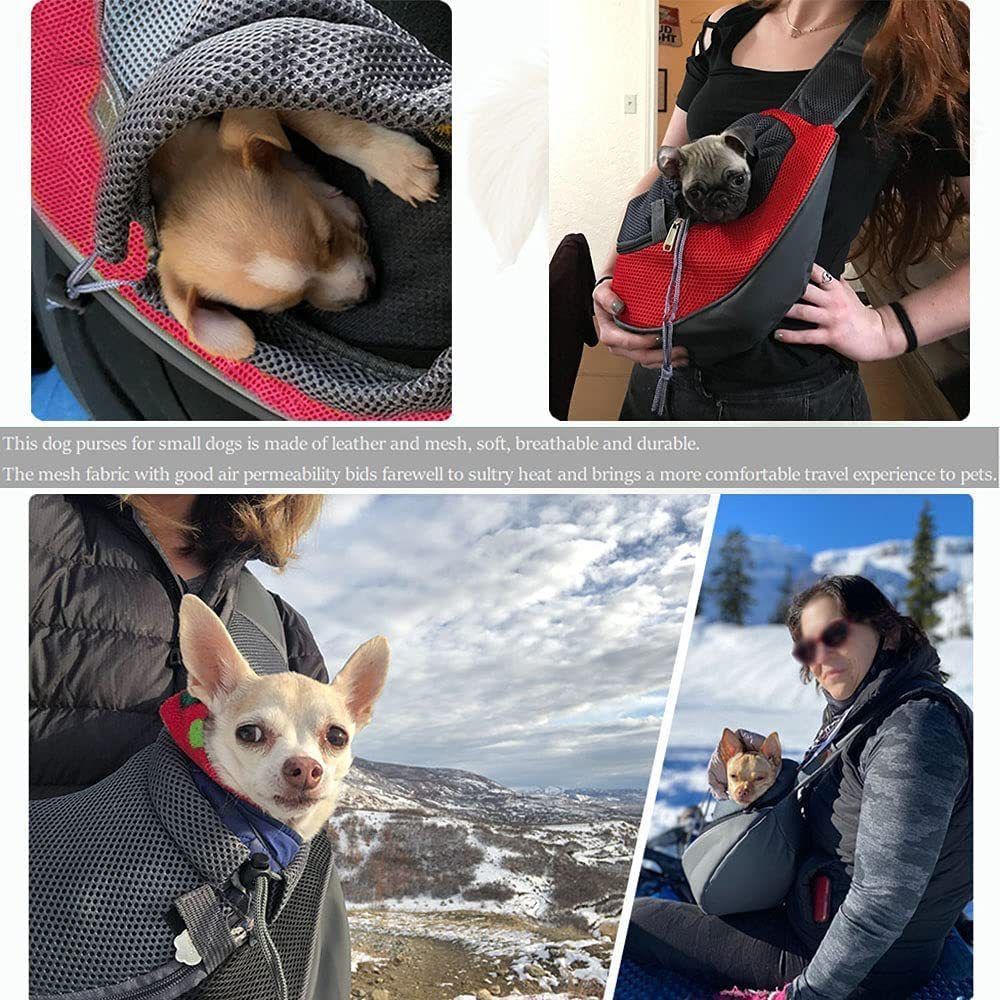 511256231