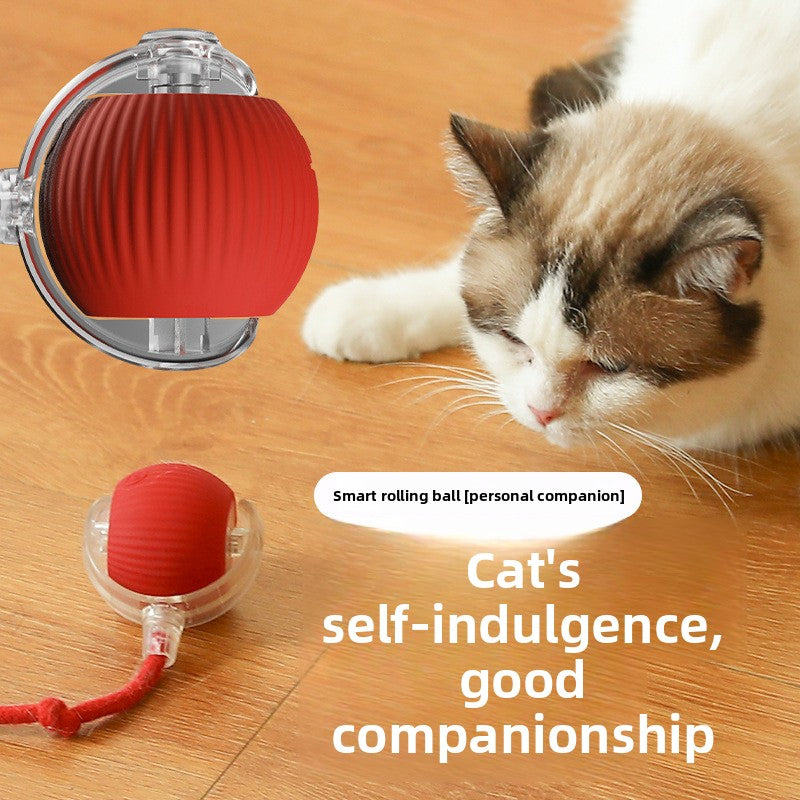 Automatic Electric Rolling Pet Toy Ball — Self-Moving Interactive Toy for Cats & Dogs
