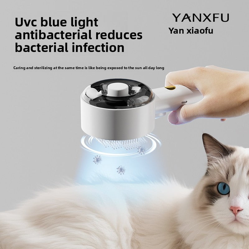 Steam Spray Cat Comb with UV Sterilization